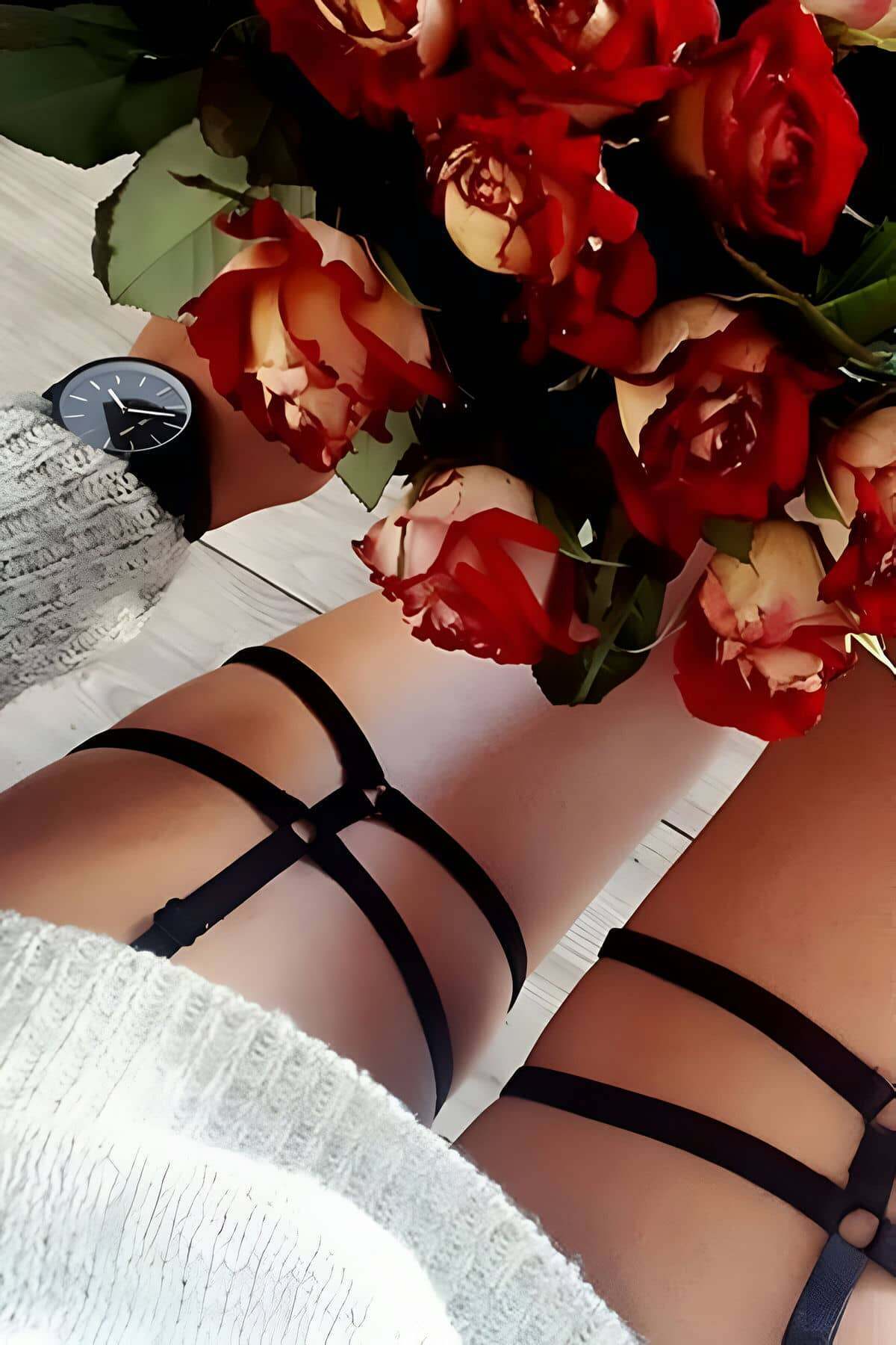 Seksi Bel - Bacak Harness - APFT44